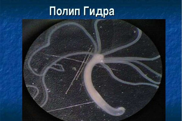 Как вывести деньги с kraken