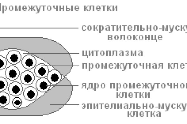 Сайт кракен официальный ссылка onion