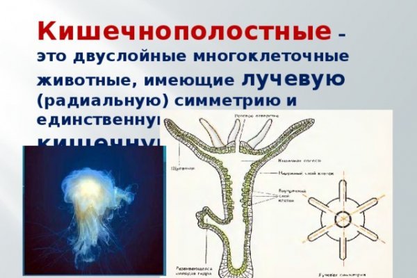 Новый адрес кракен